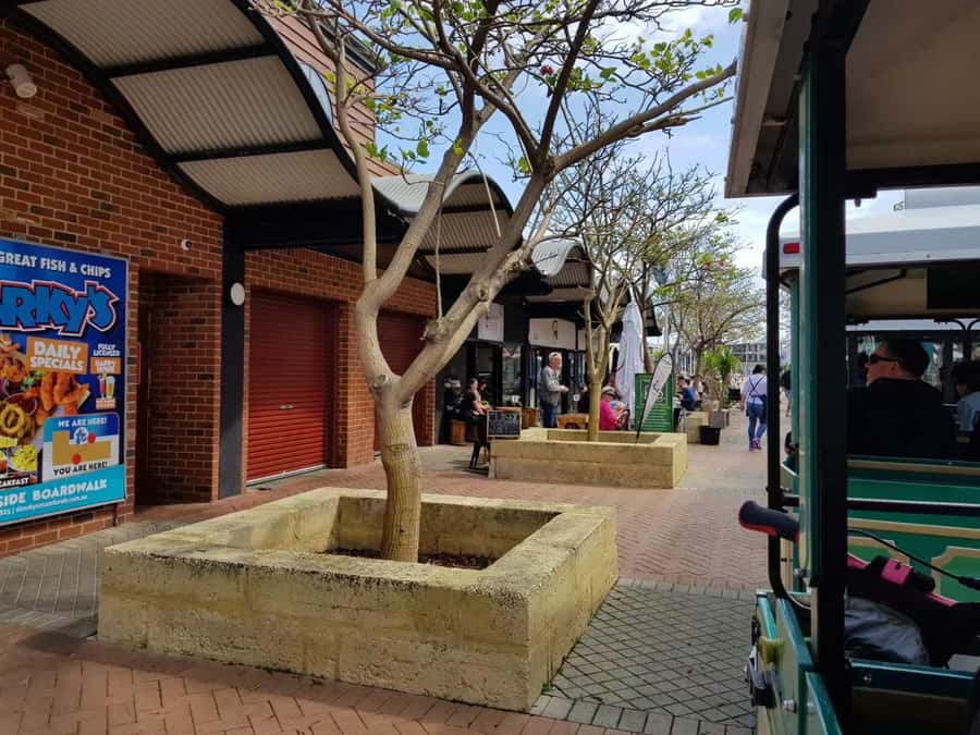 Mandurah: Big Toot 30 mins scenic tour - Big Toot in Mandurah: what makes this ride different