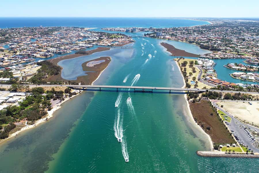 Mandurah: Dolphin and Views Cruise - How much it costs and why it feels like good value