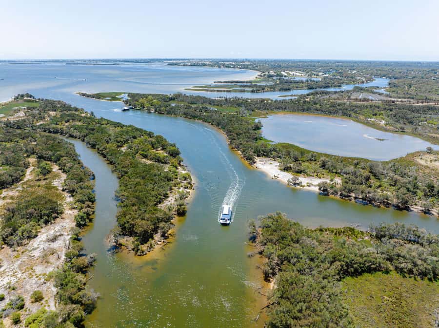 Mandurah: Murray River Lunch Cruise - Price and value: what $112 buys you on this cruise