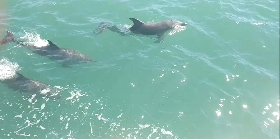 Mandurah Pirate Cruise - Key highlights that make this cruise worth it