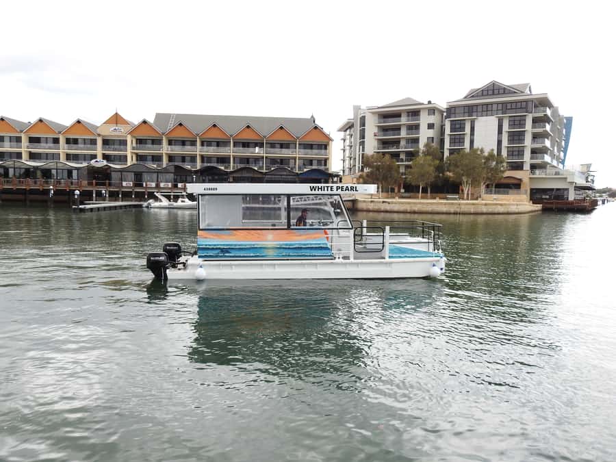 Mandurah: Sightseeing Dolphin Cruise with Tour Guide - Dolphin Quay and the marina run: boats, canals, and quick photo moments