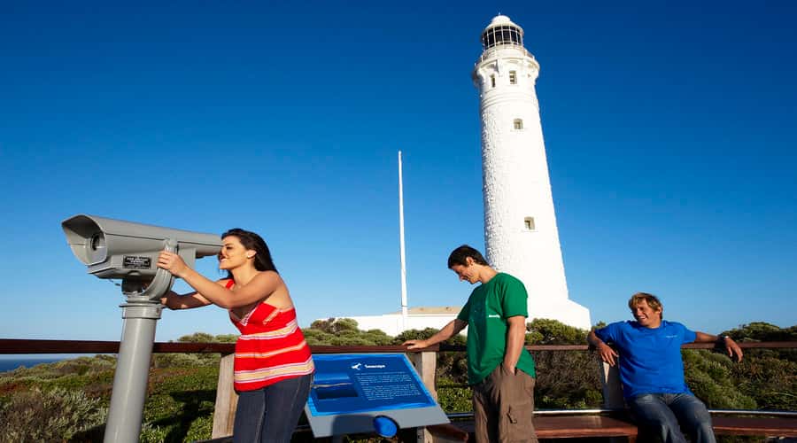 Margaret River and Busselton Jetty: Day Trip from Perth - Bus logistics from Perth CBD, and how to plan for a long day
