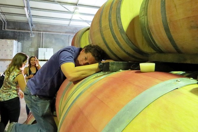 Margaret River Beer & Wine Adventure (departs Margaret River) - Three Boutique Wine Tastings: More Variety, Less Rush
