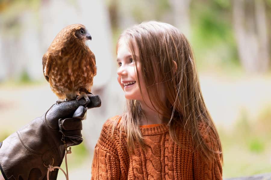 Margaret River: Birds of Prey Encounter and Forest Walk - Key things I’d plan for at Capes Raptor Centre