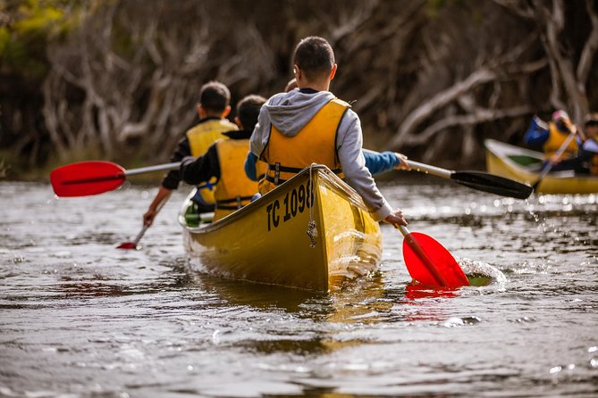 Margaret River Canoe Tour Including Australian Wild Food Lunch - Key highlights I’d prioritize