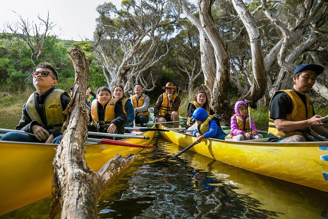 Margaret River Canoe Tour Including Australian Wild Food Lunch - The paddle itself: a protected river you can actually feel