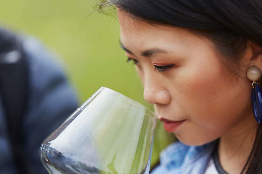 Margaret River: Full-Day Wine Tour - Yahava CoffeeWorks: Your Coffee Tasting Primer