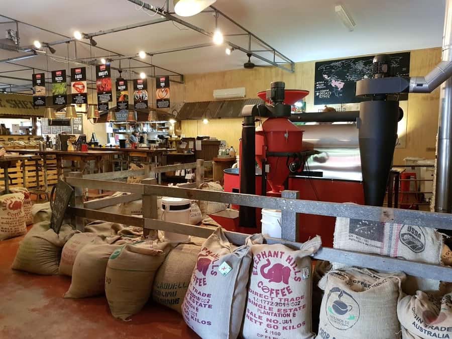 Margaret River: Full-Day Wine Tour - Vasse Virgin Olive Oil and the Two Stops That Keep You Snacking