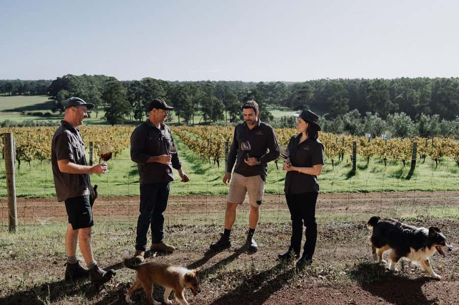 Margaret River: Full-Day Wine Tour - Who This Tour Is Best For (and Who Might Want a Different Style)