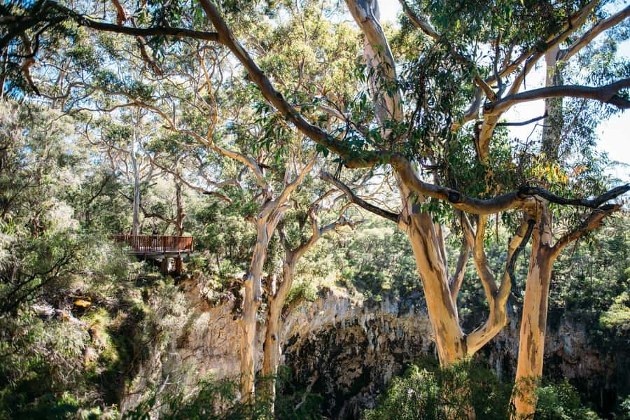 Margaret River: Lake Cave Fully-Guided Tour - Inside the Cave: Crystal Formations, Droplets, and That Still Lake