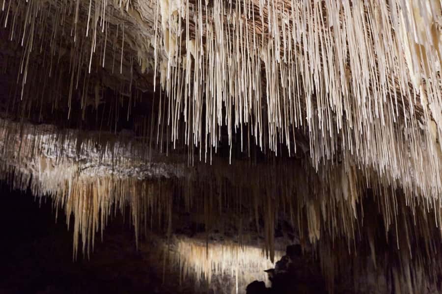 Margaret River: Lake Cave Fully-Guided Tour - Should You Book the Lake Cave Fully Guided Tour?