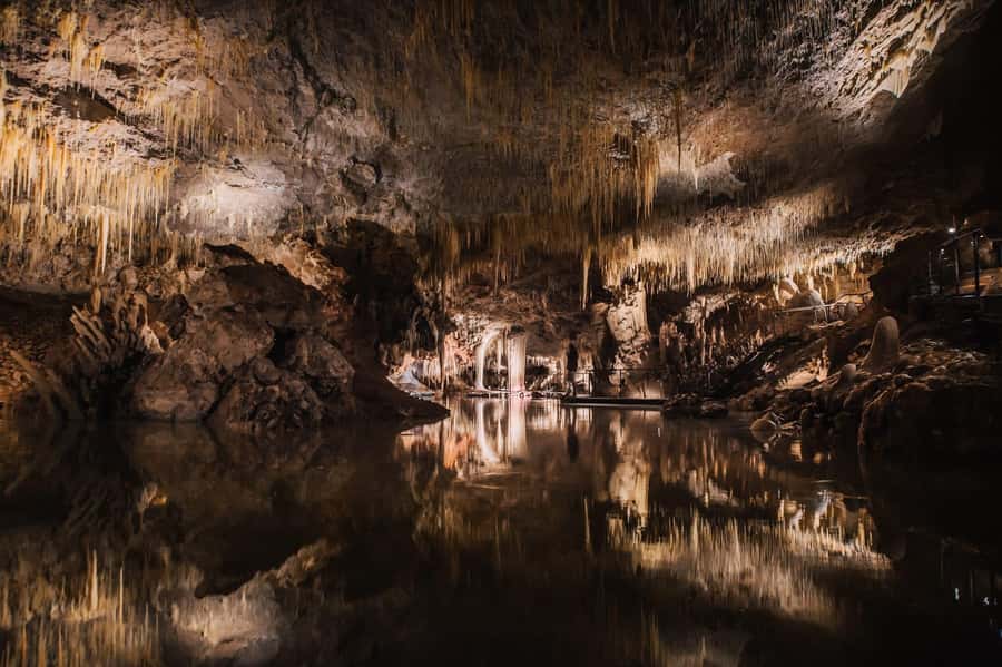 Margaret River: Lake Cave Fully-Guided Tour - The Sinkhole Staircase and Karri Tree Views You’ll Actually Remember