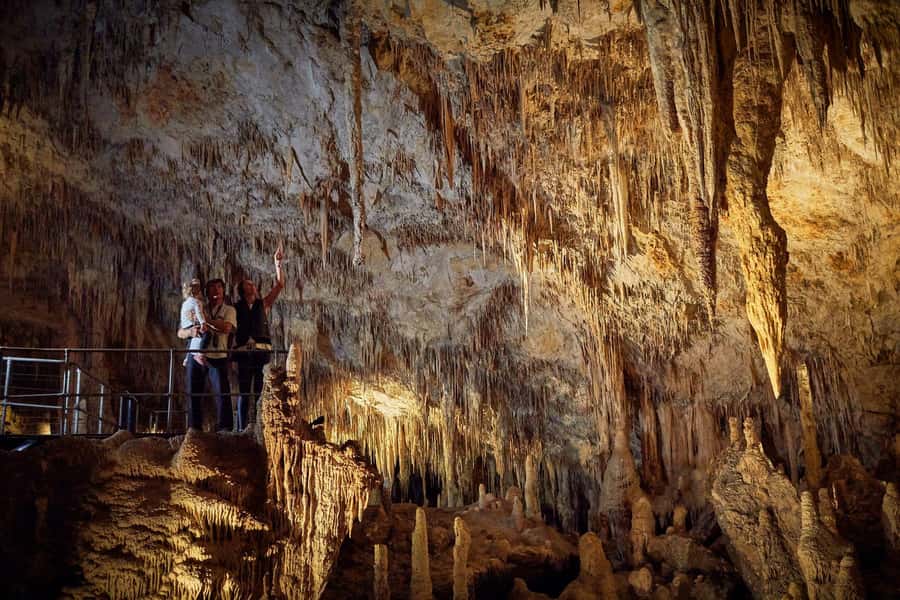 Margaret River: Self-Guided Audio Tour of Mammoth Cave - The bushland boardwalk approach before the cave gets dark