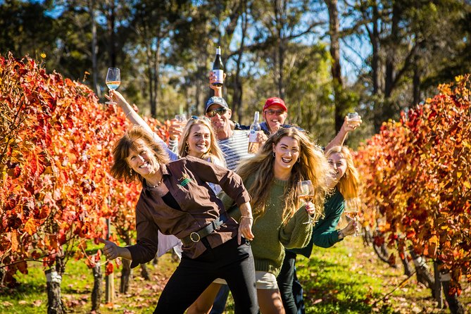 Margaret River Winery, Brewery Tour with Gourmet Lunch. - Key highlights you’ll care about