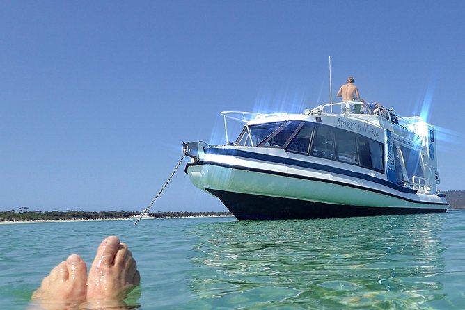 Maria Island Cruise and Guided Walk Day Tour with Lunch and Drinks - Getting to Maria Island: the Hobart start and how the day flows