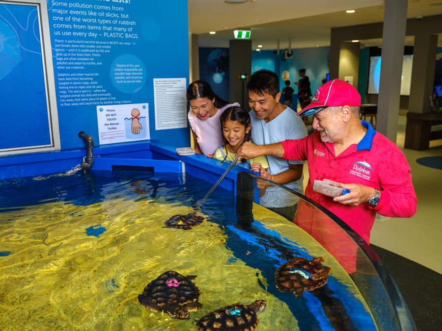 Marine Discovery Centre - Who this experience fits best