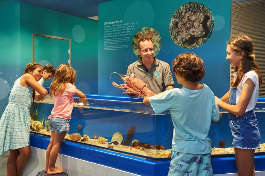 Marine Discovery Centre - One-day ticket timing, and how to get the most from it