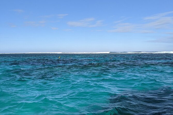 Marine Eco Safari - Swim with Manta Rays - Sea Turtle Sanctuary Stop: Feeding, Surfacing, and Quiet Watching
