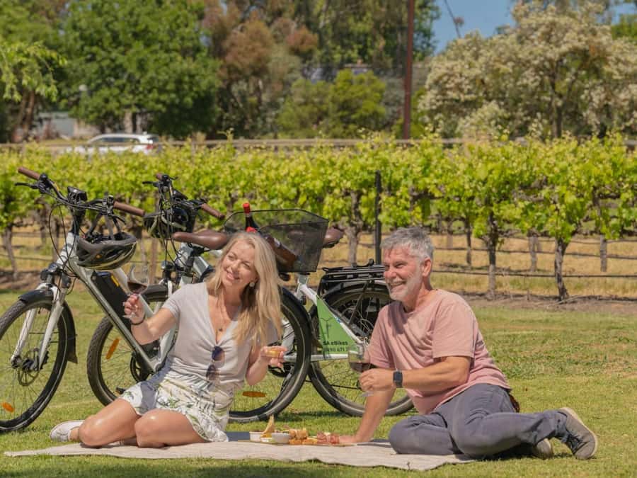 McLaren Vale: E-Bike Rental to Explore the Vineyards - McLaren Vale by E-Bike: What You Really Get in 1 Day
