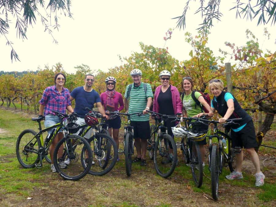 Mclaren Vale Hills Vines and Wines Bike Tour from Adelaide - Key moments to look for