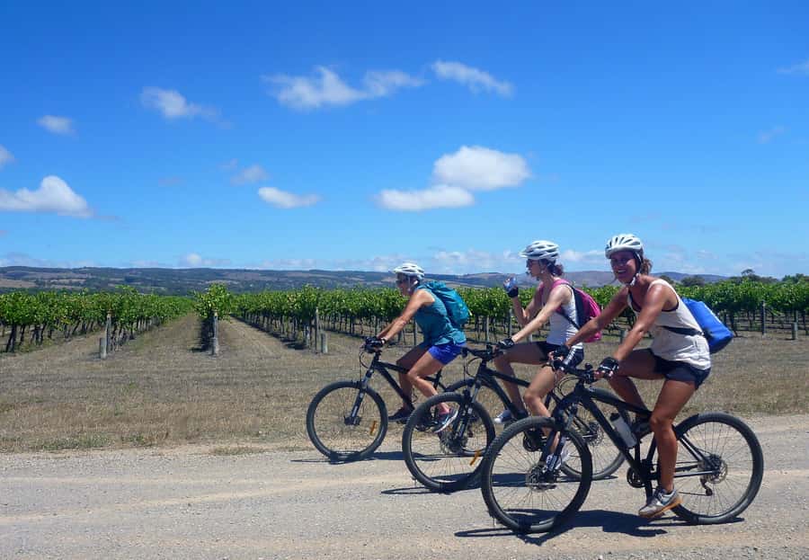 Mclaren Vale Hills Vines and Wines Bike Tour from Adelaide - From central Adelaide to Kuitpo Forest, with a bike that feels ready