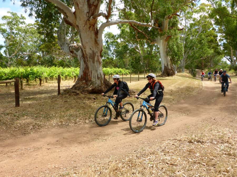Mclaren Vale Hills Vines and Wines Bike Tour from Adelaide - Who this McLaren Vale bike tour fits best