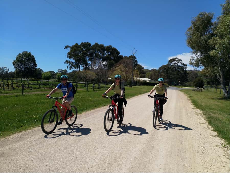 Mclaren Vale Hills Vines and Wines Bike Tour from Adelaide - Price and value: what you get for a full day in wine country