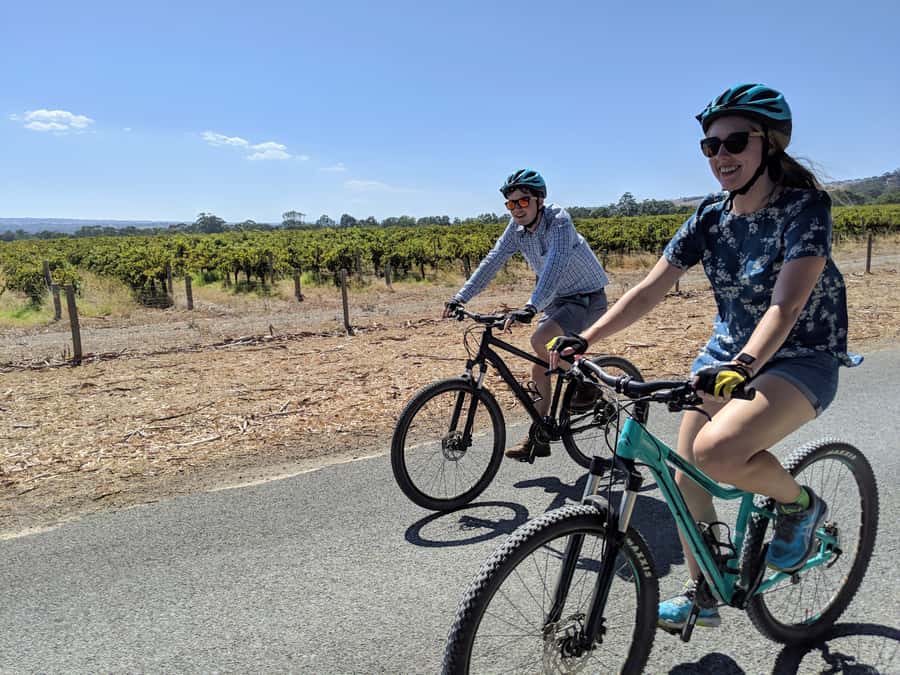 Mclaren Vale Hills Vines and Wines Bike Tour from Adelaide - Should you book this bike and wine tour?