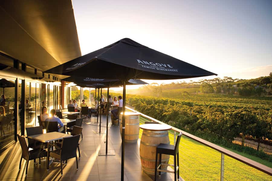 McLaren Vale North: Hop-On Hop-Off Tour - Key Highlights That Make This Tour Work