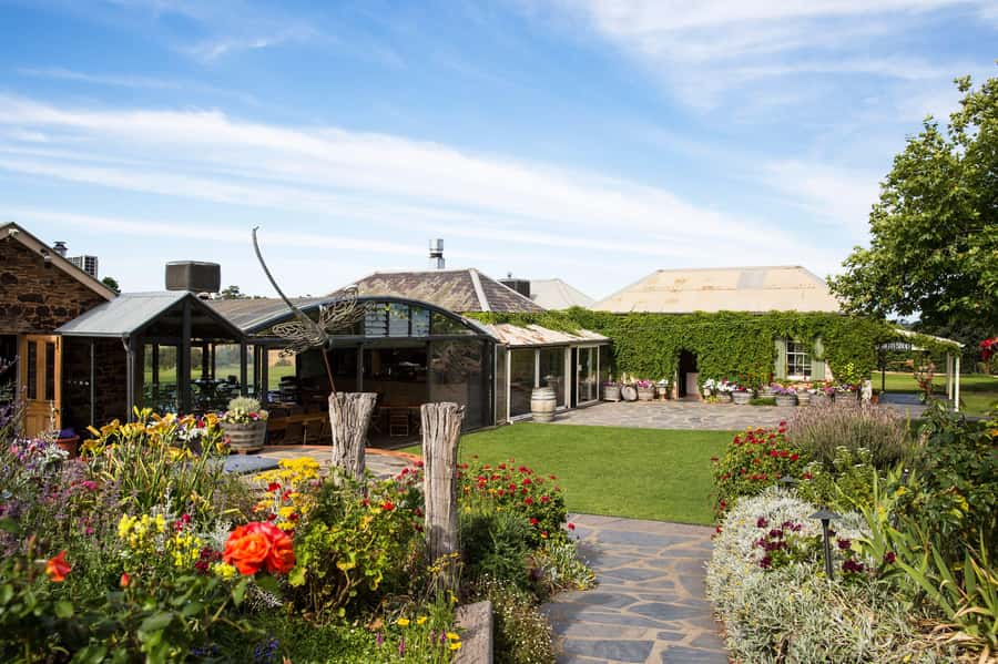 McLaren Vale North: Hop-On Hop-Off Tour - Practical Details That Save Your Day