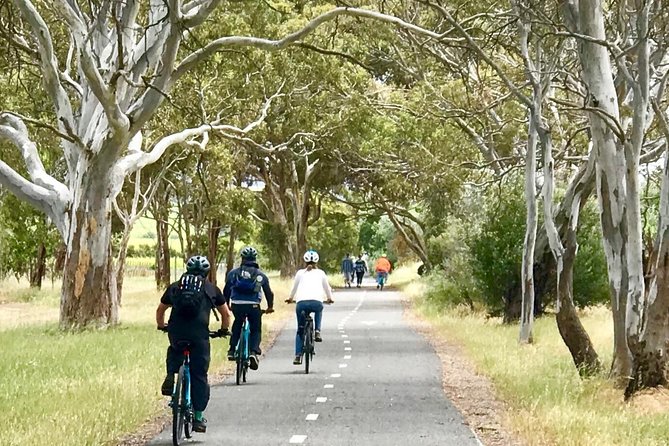 McLaren Vale Shiraz Trail Cycling Tour from Adelaide - Lunch, Tastings, and the Alcohol Budget That Catches People