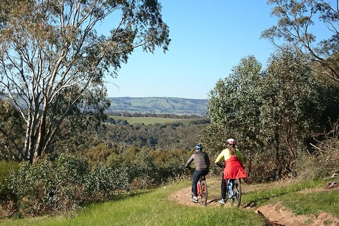 McLaren Vale Wine Tour by Bike - Willunga Hill Downhill Views: The Payoff Part of the Ride