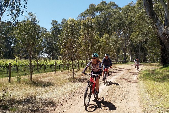 McLaren Vale Wine Tour by Bike - Rolling Through McLaren Vale: More Than Just Two Cellar Doors