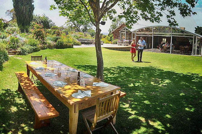 McLaren Vale Winery Small Group Tour with Wine Tasting and Lunch - Key Points You Should Know Before You Go