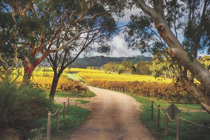 McLaren Vale Winery Small Group Tour with Wine Tasting and Lunch - Lunch at a Winery Restaurant: Regional Platter Plus Wine