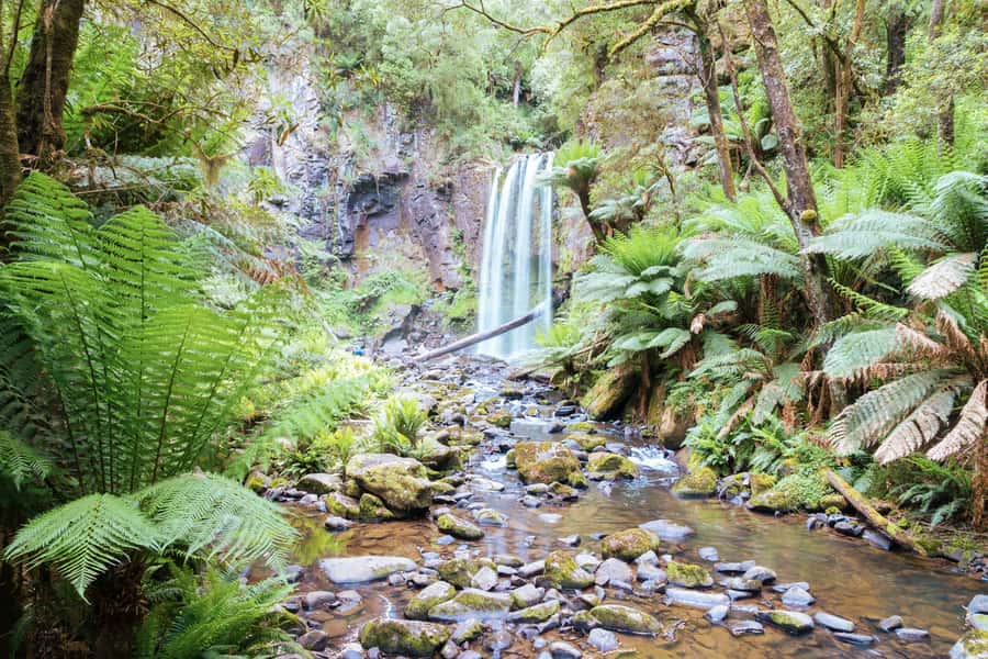 Melbourne: 12 Apostles, Otways & Great Ocean Road Day Tour - Great Otways waterfall hike on a Grade 2 track