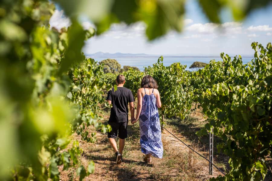 Melbourne: Around the Bay Food & Wine Taste Trail - Around the Bay in 10 hours: the value of a tight food-and-wine route