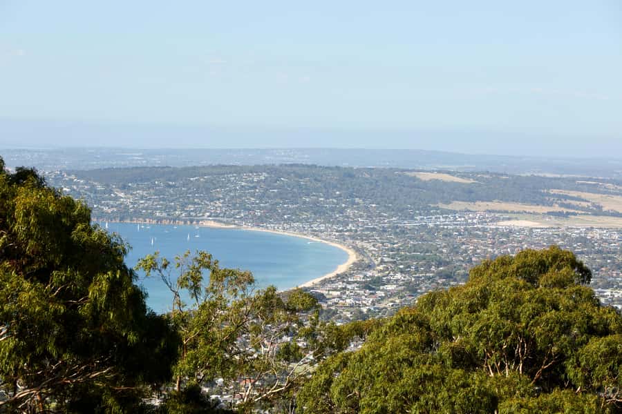 Melbourne: Around the Bay Food & Wine Taste Trail - Jack Rabbit Vineyard: lunch with a view and a food-focused break