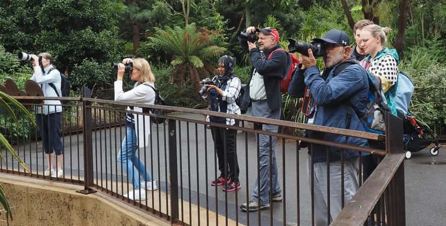 Melbourne City Surrounding Sightseeing Tour - Shrine of Remembrance: war veteran tribute and a skyline viewpoint