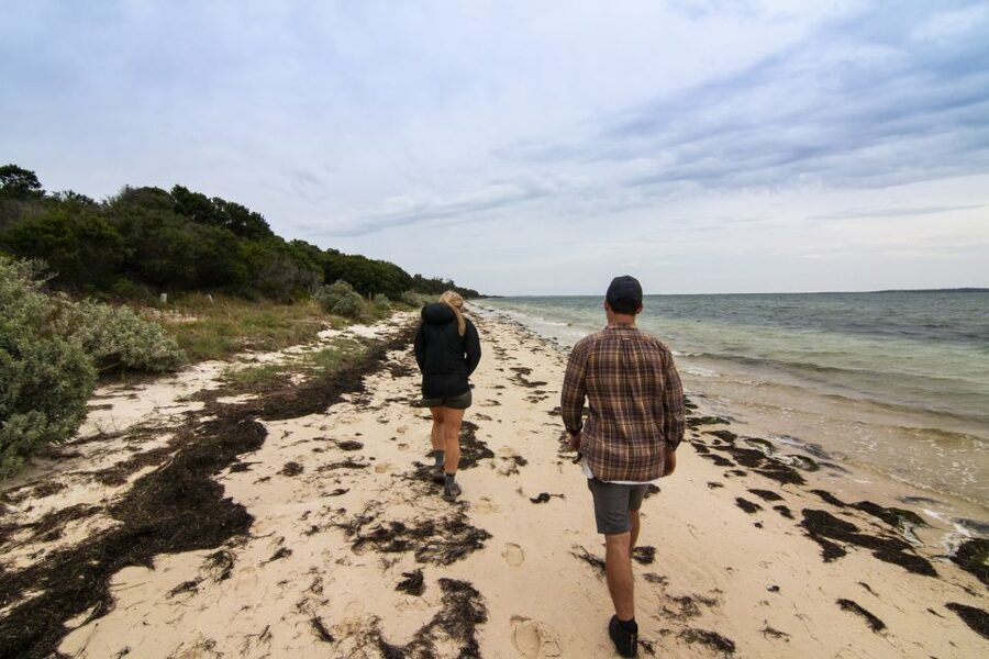 Melbourne: French and Phillip Island Wildlife Expedition - Price and value: is $155 worth a 12 to 14 hour day?