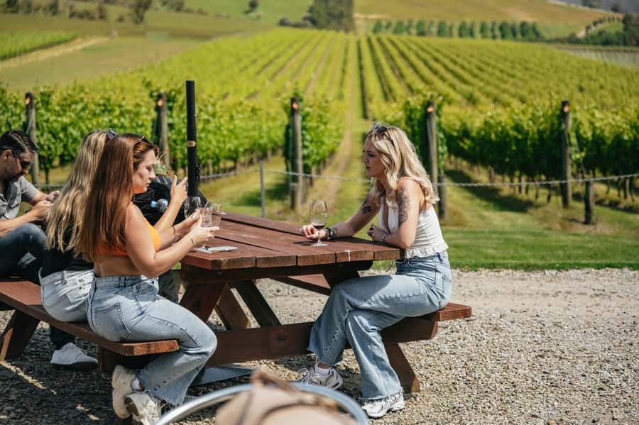 Melbourne: Full-Day Yarra Valley Wine Experience with Lunch - Quick Key Points You Should Know