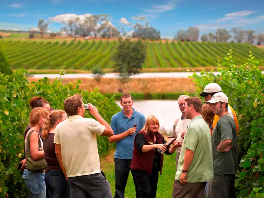 Melbourne: Full-Day Yarra Valley Wine Experience with Lunch - Getting Started at Immigration Museum (and What to Expect on the Bus)