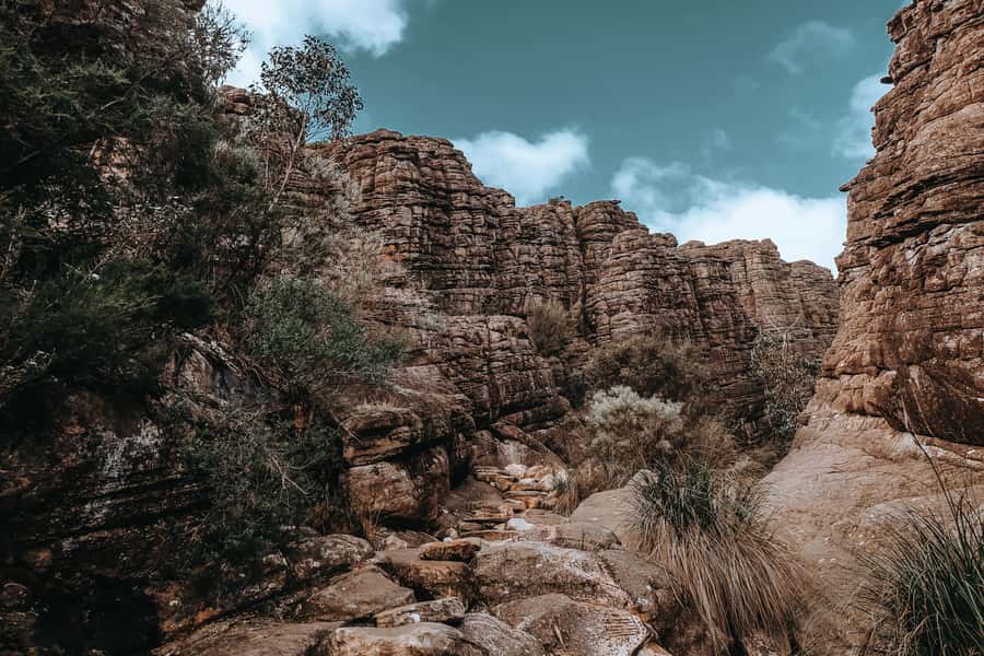 Melbourne: Grampians Day Tour - Boroka Lookout panoramas and the Halls Gap kangaroo hangout