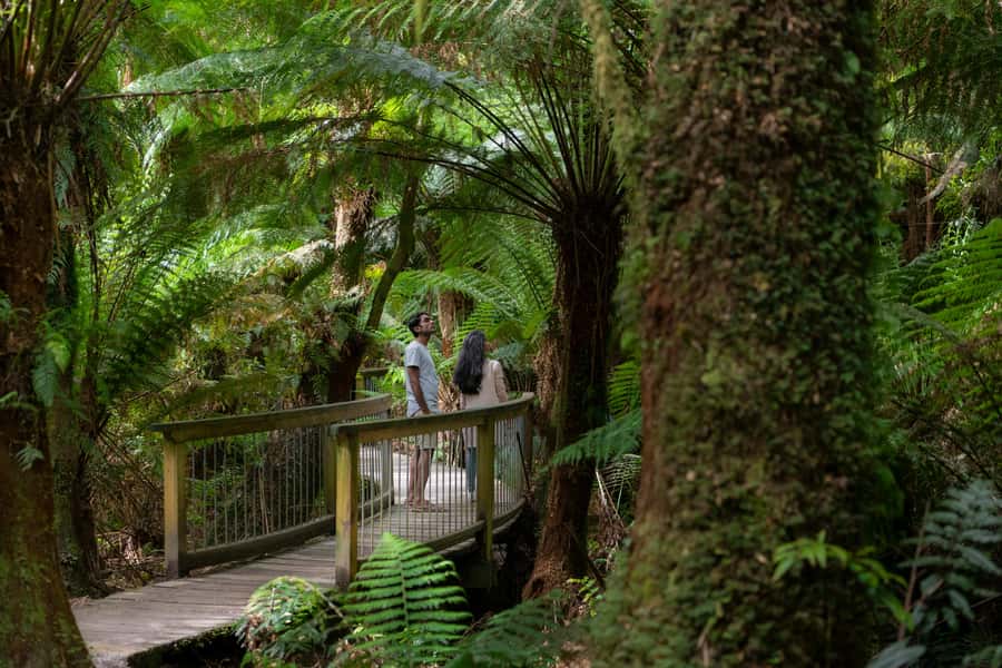 Melbourne: Great Ocean Road 12 Apostles & Rainforest Tour - Memorial Arch at Eastern View: A WWI Stop That Adds Meaning