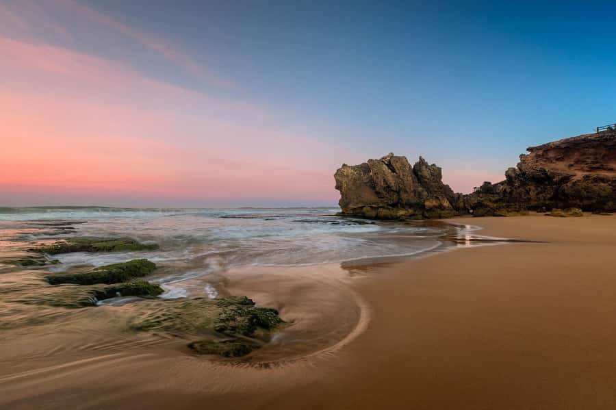Melbourne: Great Ocean Road Day Tour with kangaroos & koalas - Great Ocean Road in one day, the classic sights plus real wildlife time