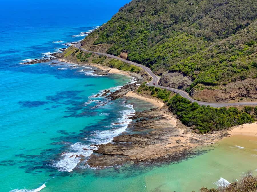Melbourne: Great Ocean Road Extended–Top Stops&London Bridge - Photo stops at Cumberland River and Apollo Bay lunch with sea views