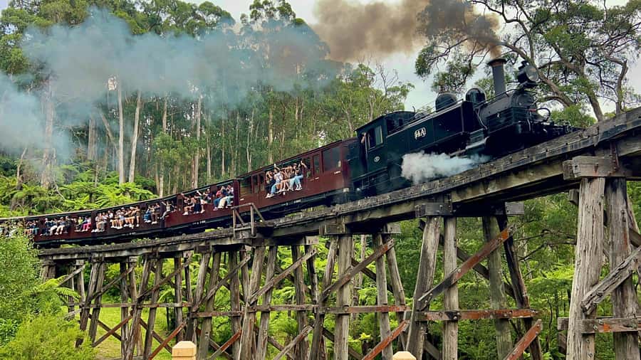 Melbourne: Half-Day Puffing Billy Steam Train Experience - Key highlights worth planning for