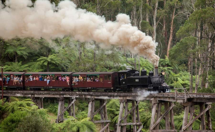 Melbourne: Half-Day Puffing Billy Steam Train Experience - The guide and the audio option: getting more out of every minute