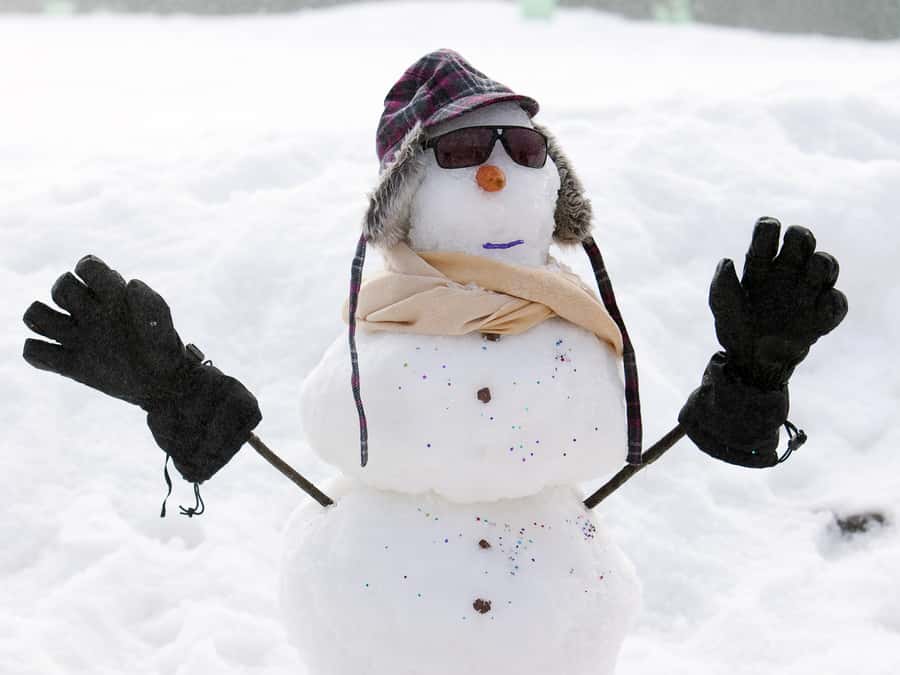Melbourne: Lake Mountain Snow & Waterfalls Guided Tour - Lake Mountain: 3 hours of hands-on snow fun (not just photos)