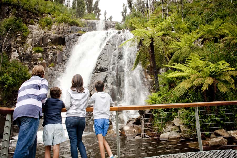 Melbourne: Lake Mountain Snow & Waterfalls Guided Tour - Steavenson Falls: a guided walk to five cascades and 122 meters of descent
